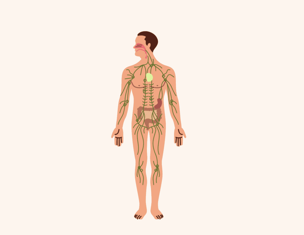 Valueras - masáž lymfatických uzlín